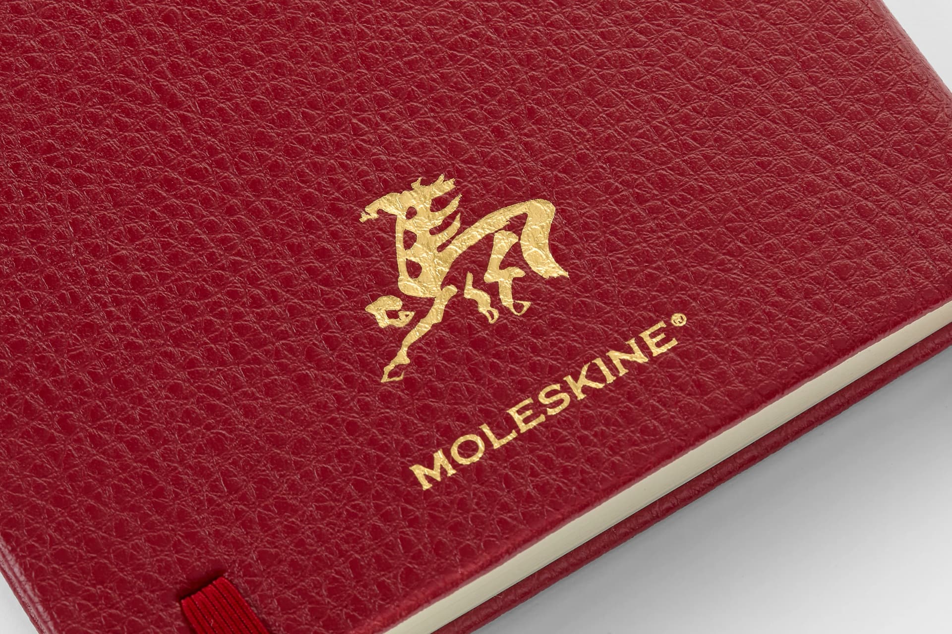 Moleskine
