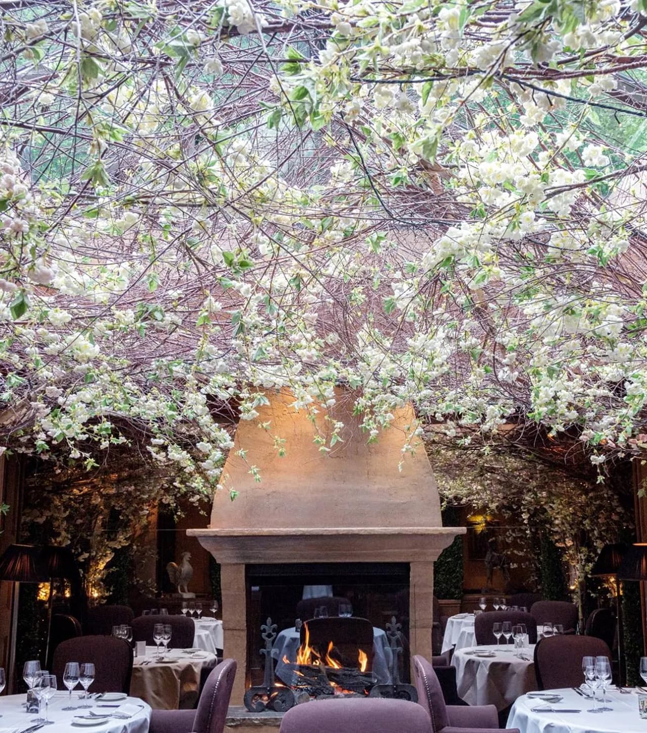 Dining on King Street